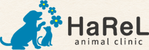 札幌清田区の動物病院なら犬・猫専門の動物病院ハレルアニマルクリニック